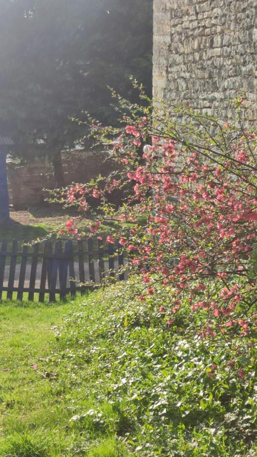 La Maison Bleue Varzy Dış mekan fotoğraf