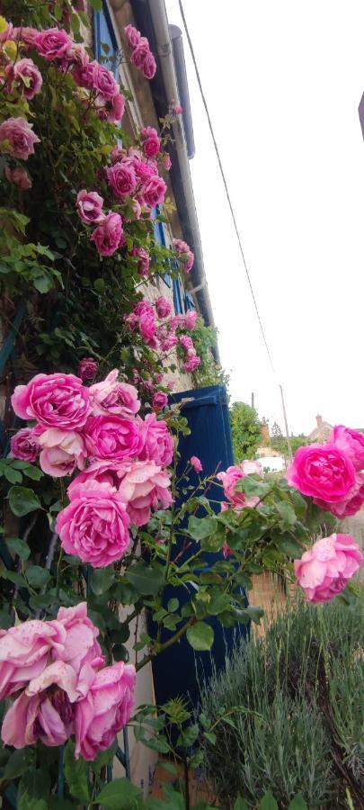 La Maison Bleue Varzy Dış mekan fotoğraf